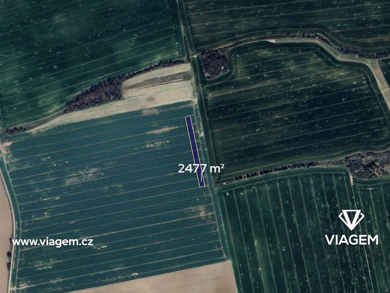 Prodej zemědělský pozemek - Tuklaty, okres Kolín, Středočeský kraj - 2