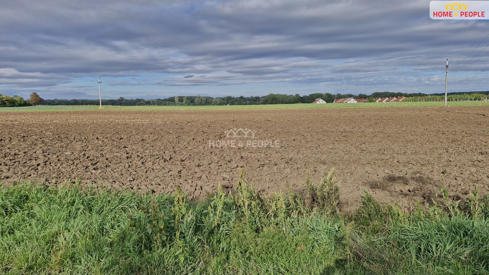 Prodej komerční pozemek - Malešovice, 12 361 m²