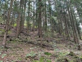 Prodej pozemek pro bydlení - Semily, 513 01