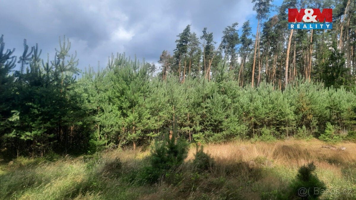 Prodej pozemek pro bydlení - Březovice, 294 24