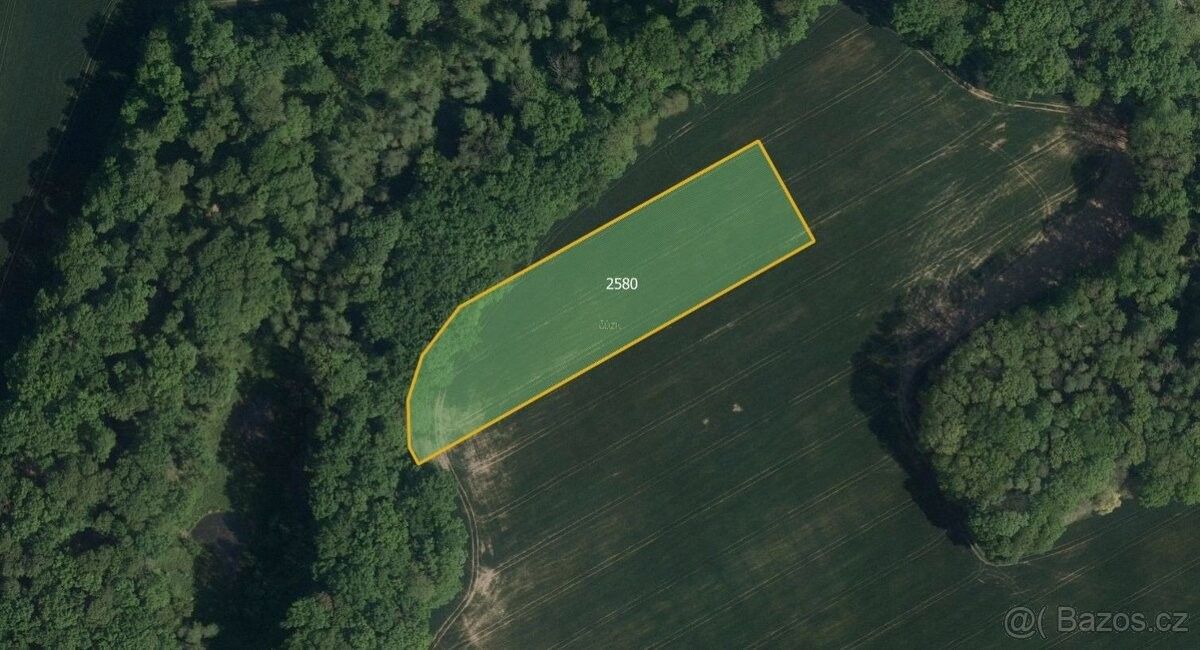 Prodej pozemek pro bydlení - Ronov nad Doubravou, 538 42