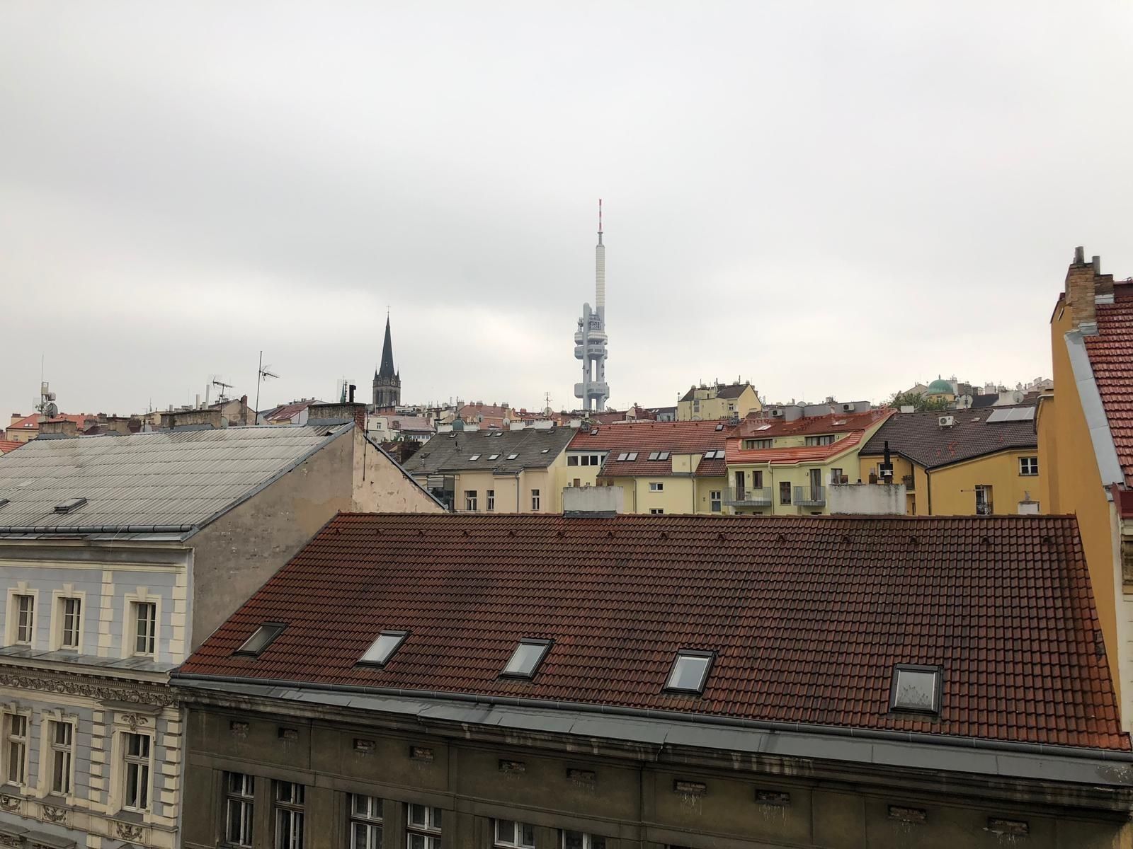 Byty, Husitská, Praha - Žižkov, 156 m² - 1