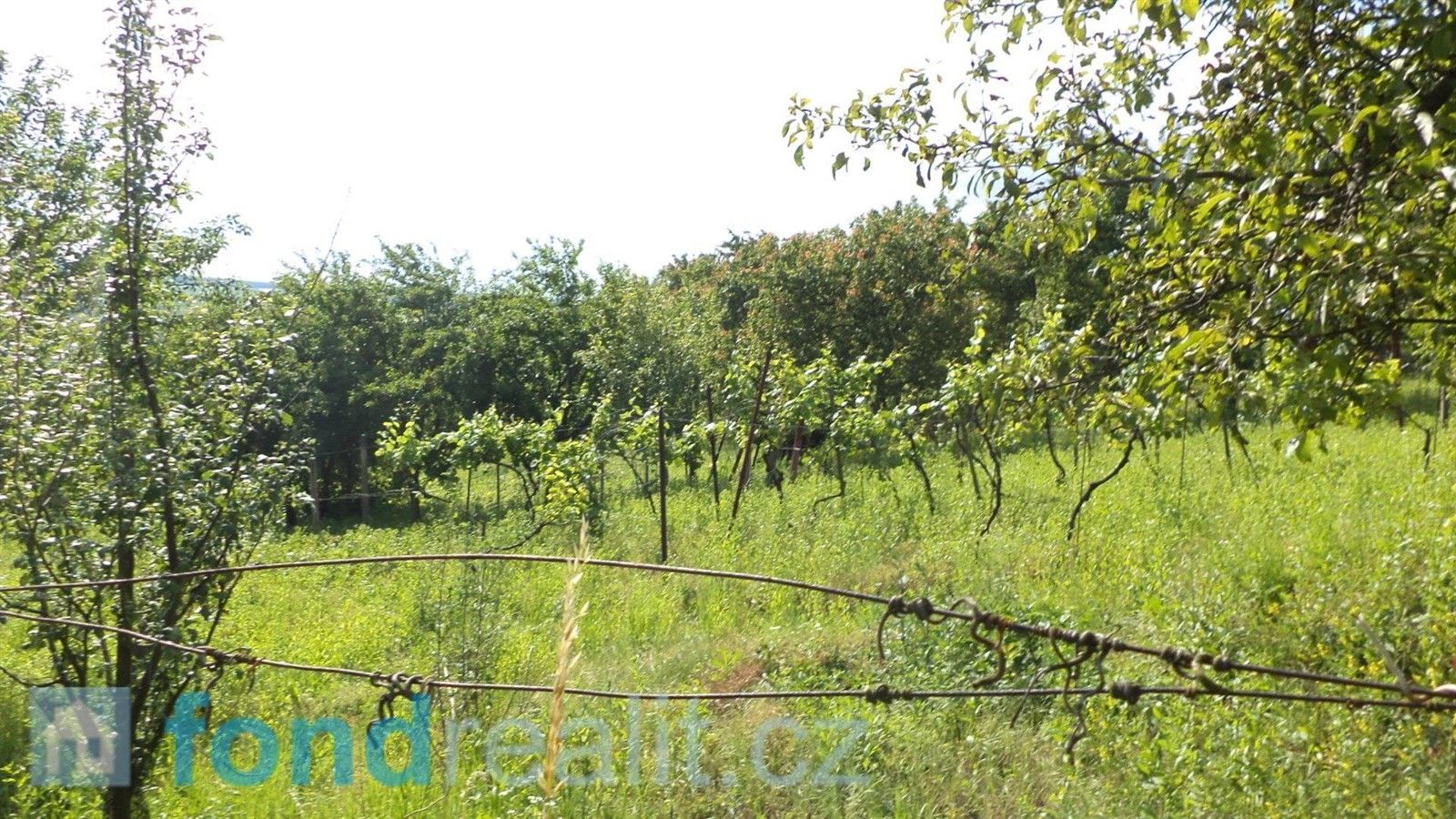 Prodej zemědělský pozemek - Kyjov, 4 008 m²