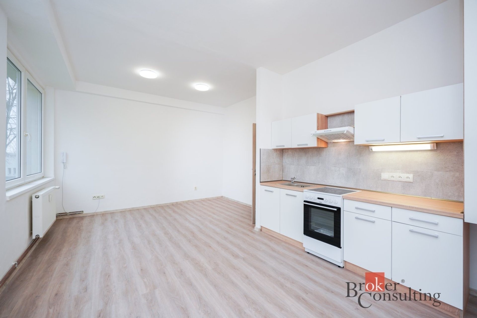 Byt 2+kk · 52 m² · Mlékojedy - 3