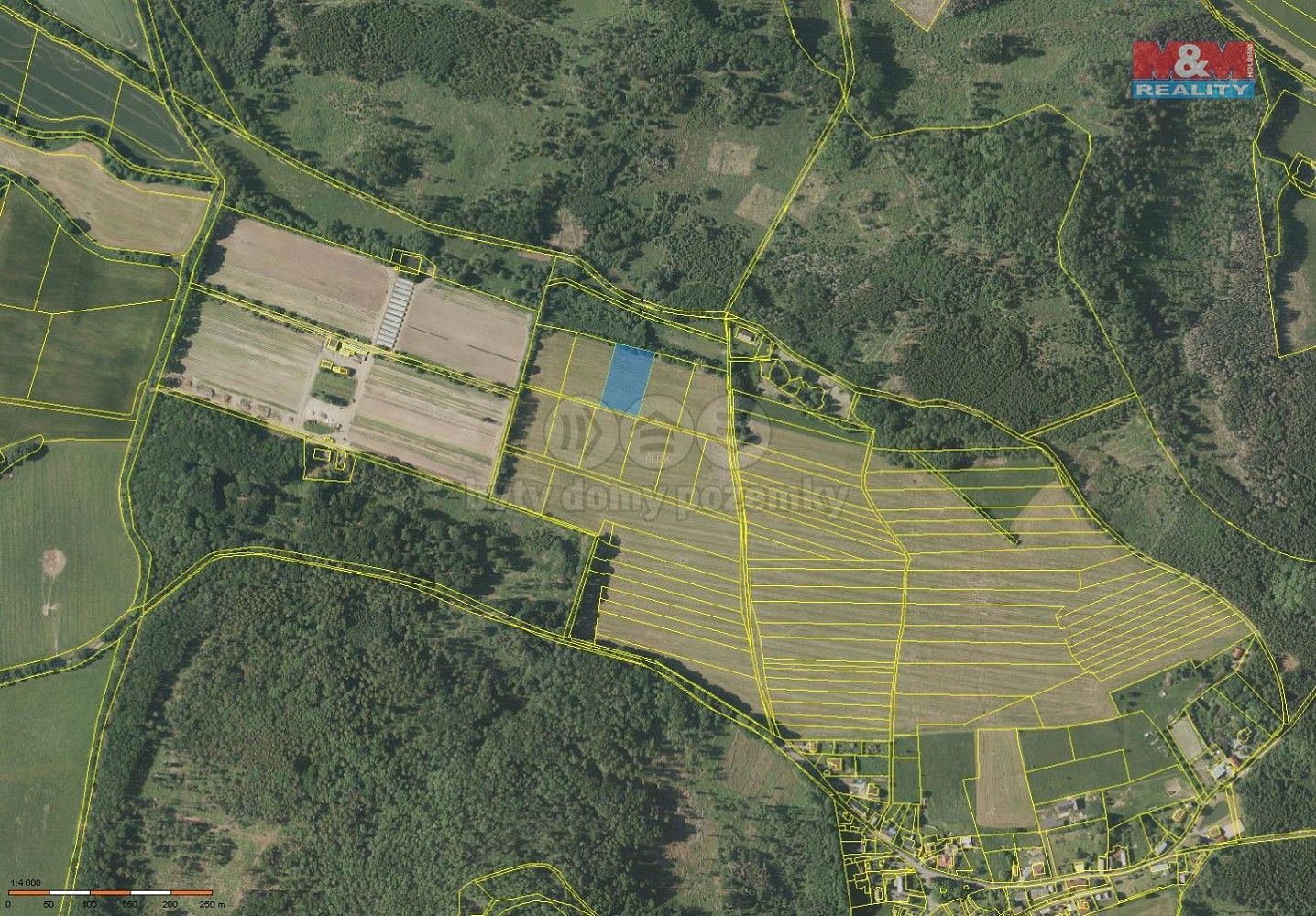 Louka · Kdyně - Podzámčí, okres Domažlice, Plzeňský kraj - 3