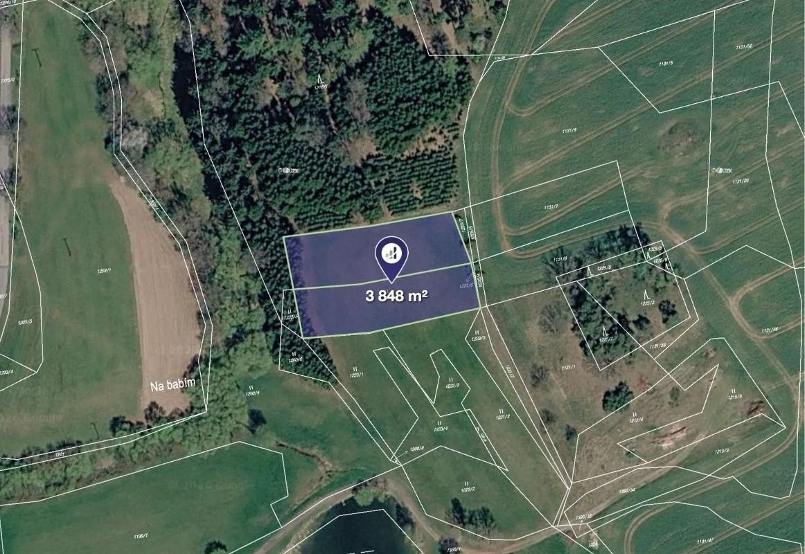 Zemědělský pozemek · 14 014 m² · Heřmaničky - 3