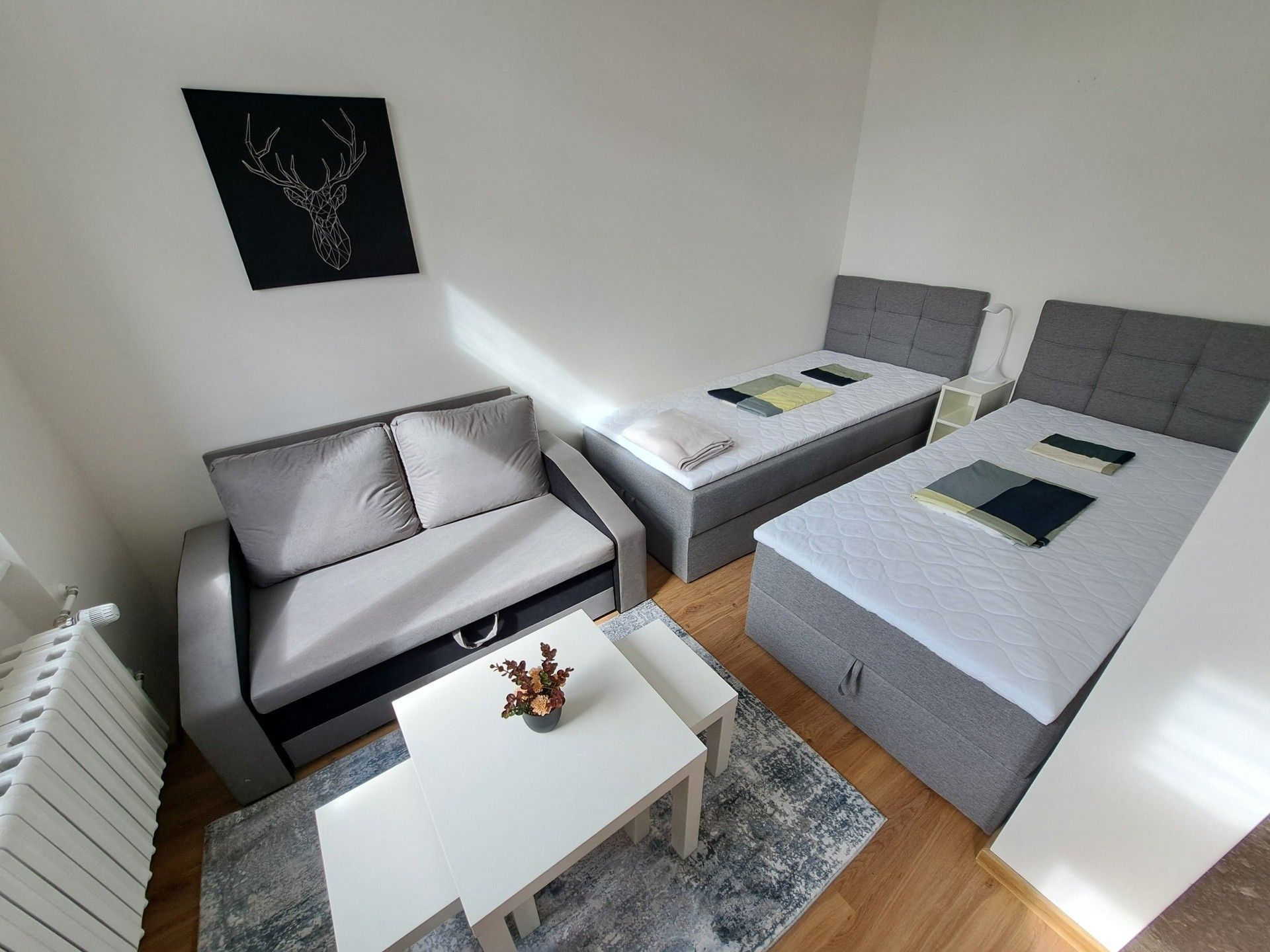 Pronájem byt 1+kk - Koliště 1856, Brno Černá Pole, 31 m² - 2