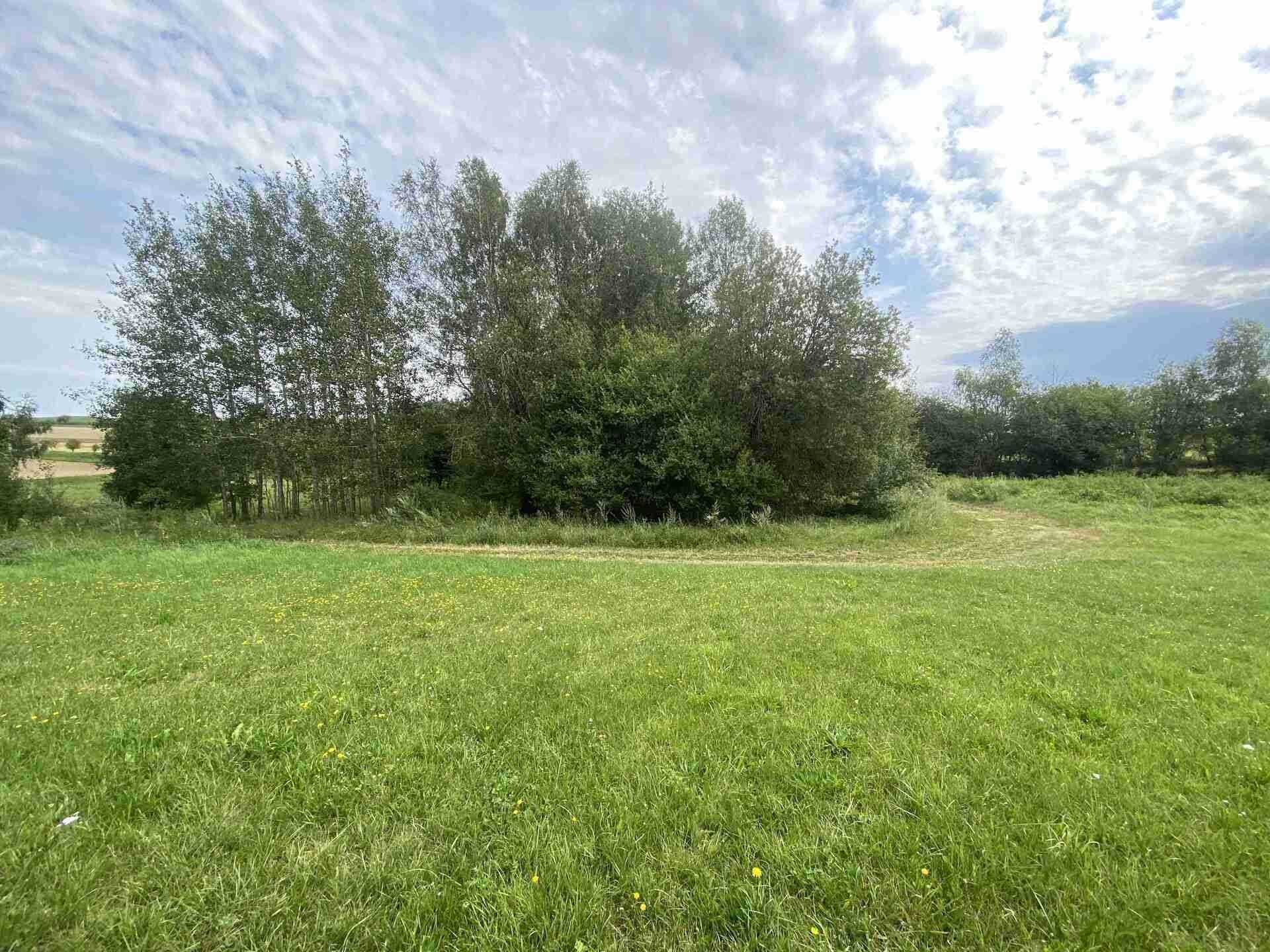 Pozemek, 4 446 m²
