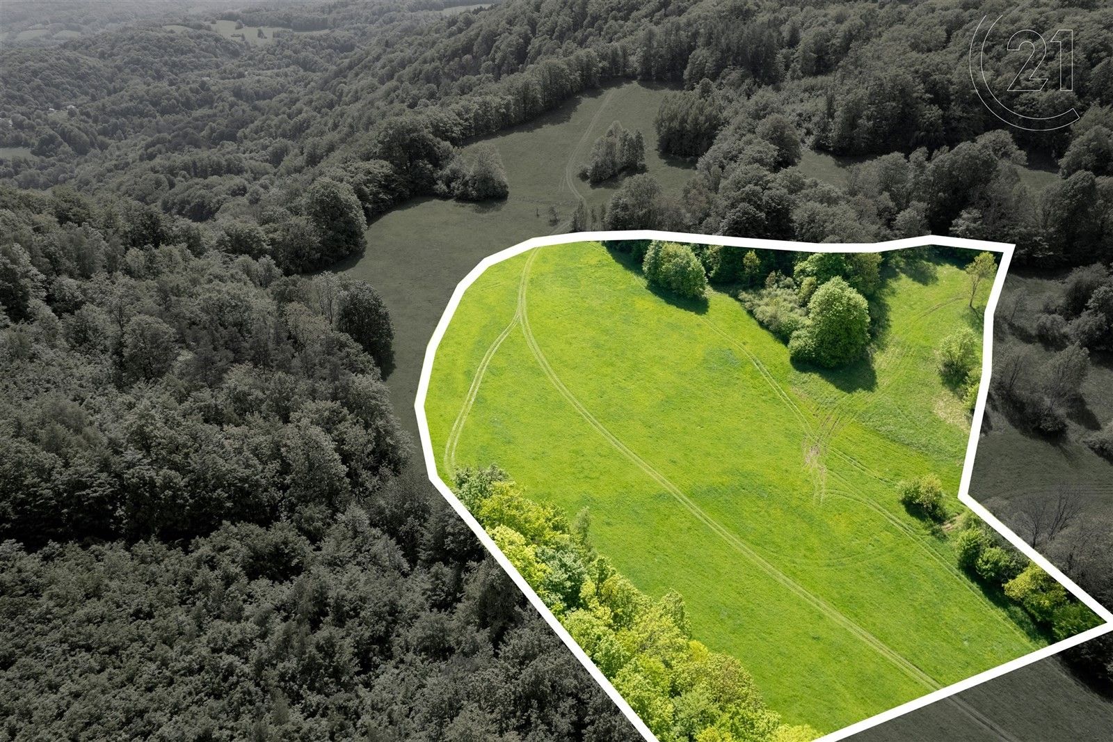 Prodej louka - XXXIV-Chlum, Děčín