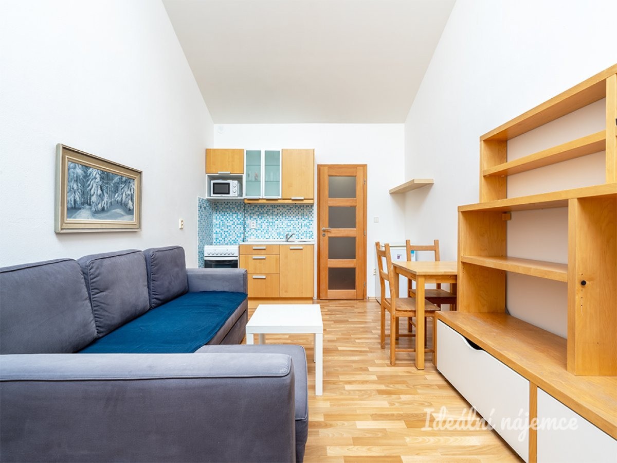 1+kk, Štúrova, Praha, 26 m² - 1