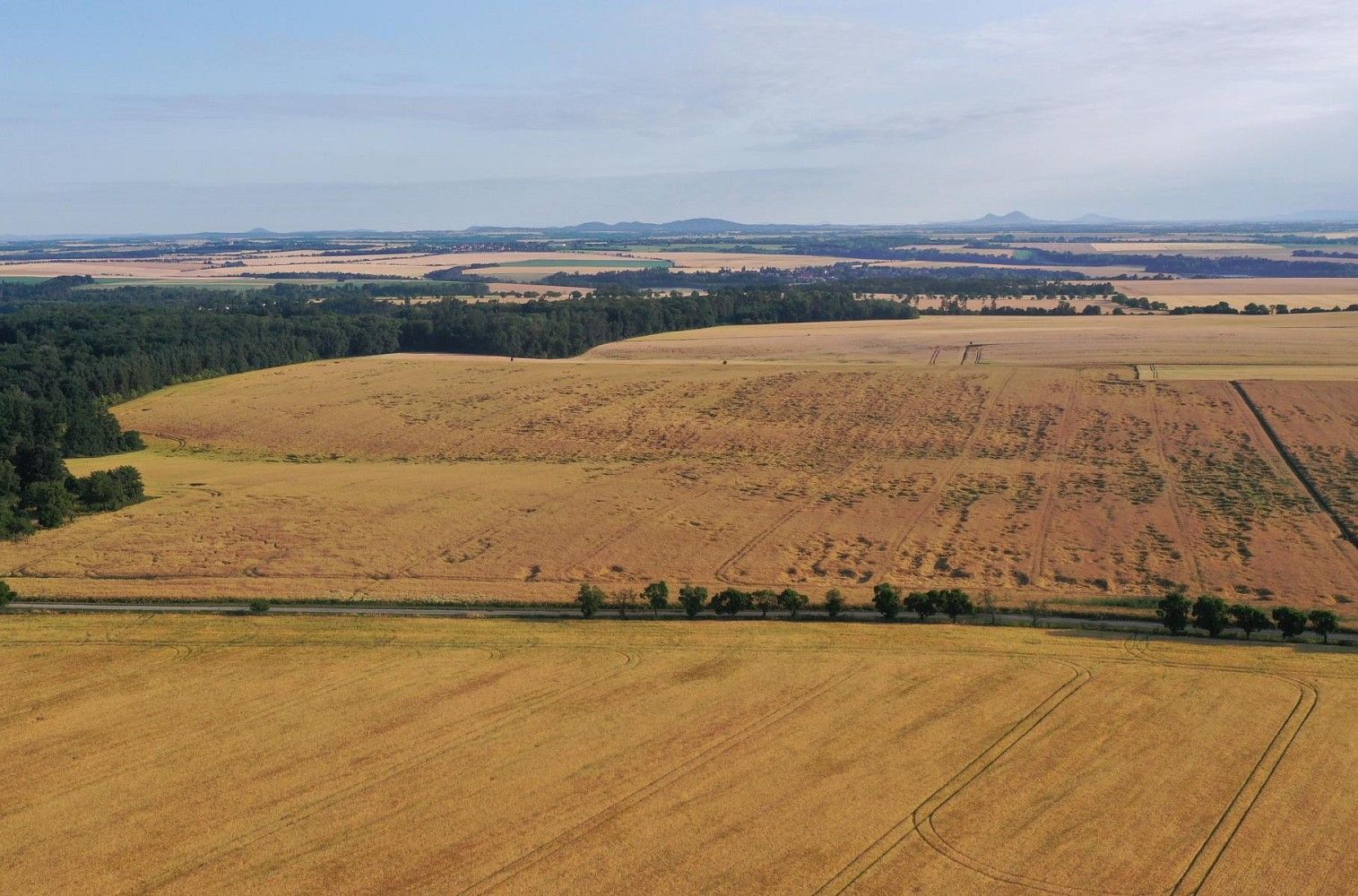 Zemědělské pozemky, Horní Slivno, okres Mladá Boleslav, Středočeský kraj - 2