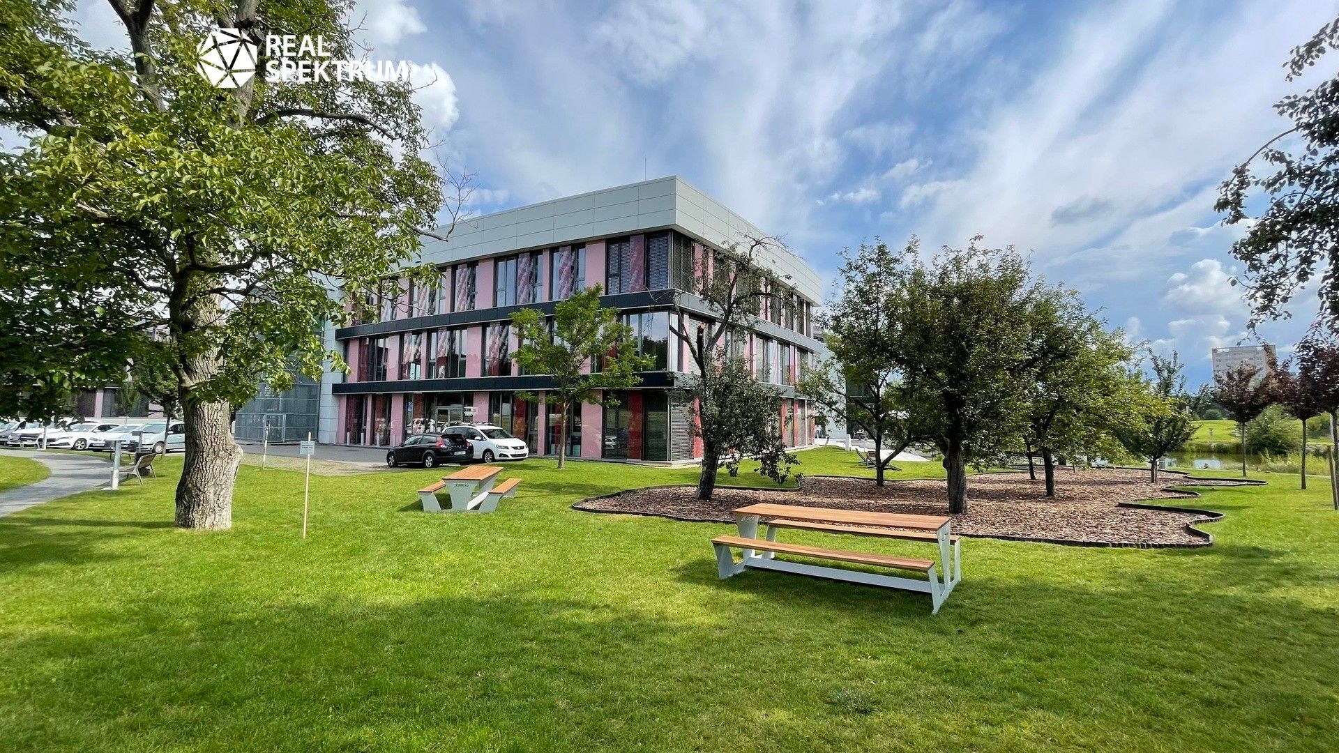 Kanceláře, Purkyňova, Brno, 960 m²