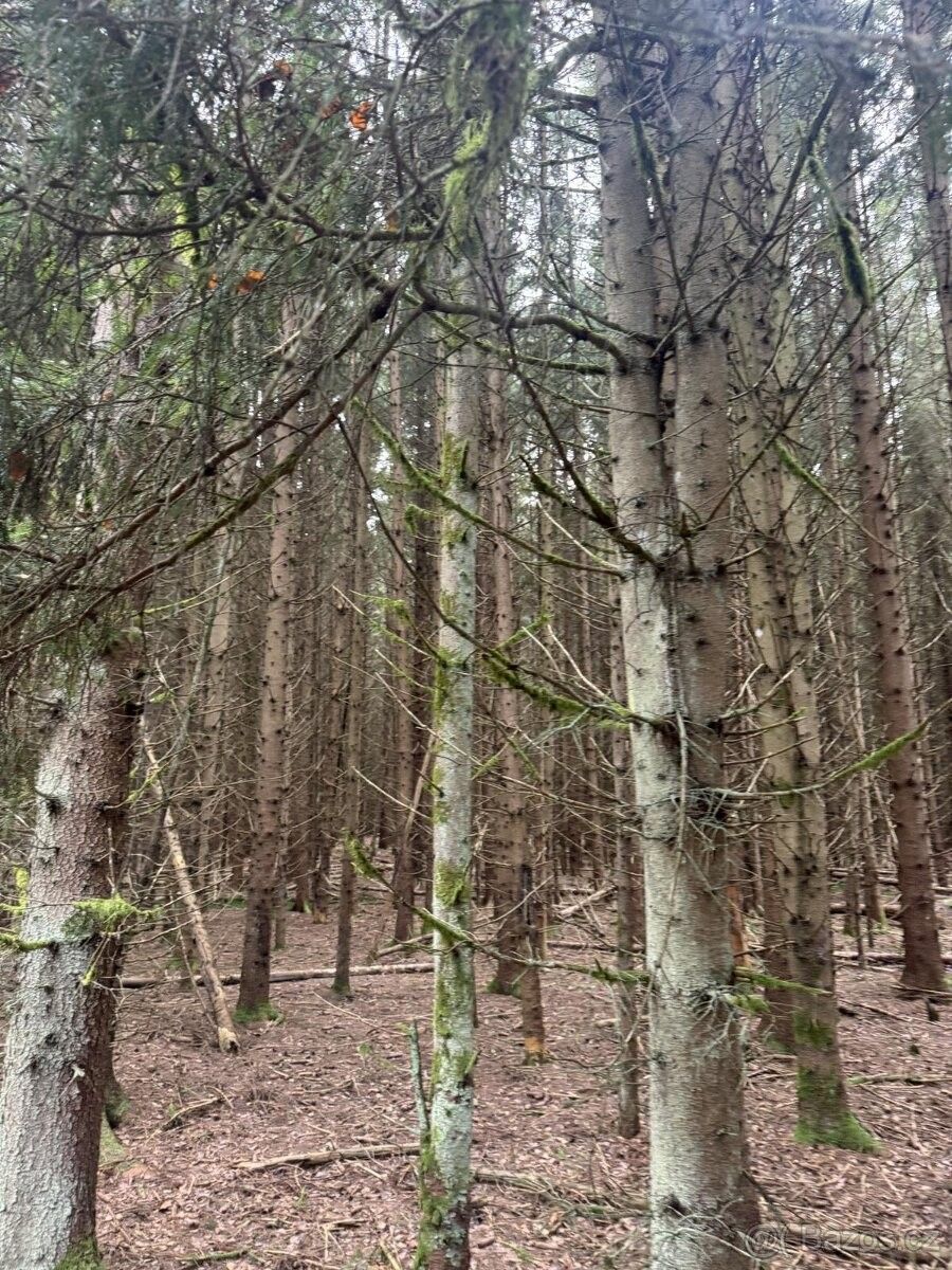 Pozemky pro bydlení, Dvory nad Lužnicí, 378 08