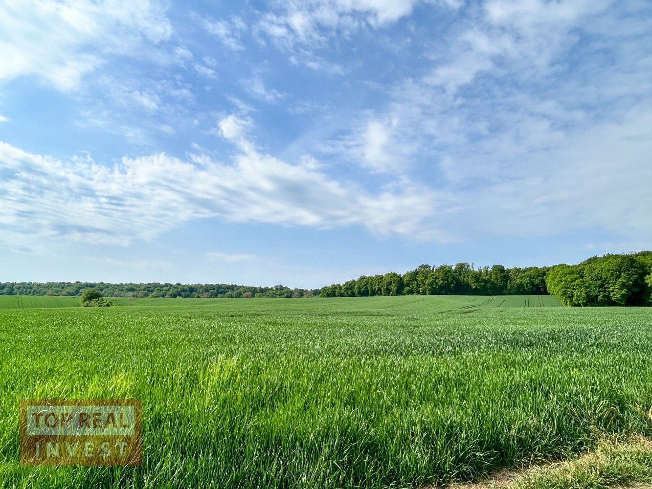 Zemědělský pozemek · Rataje - Popovice, okres Kroměříž, Zlínský kraj - 3