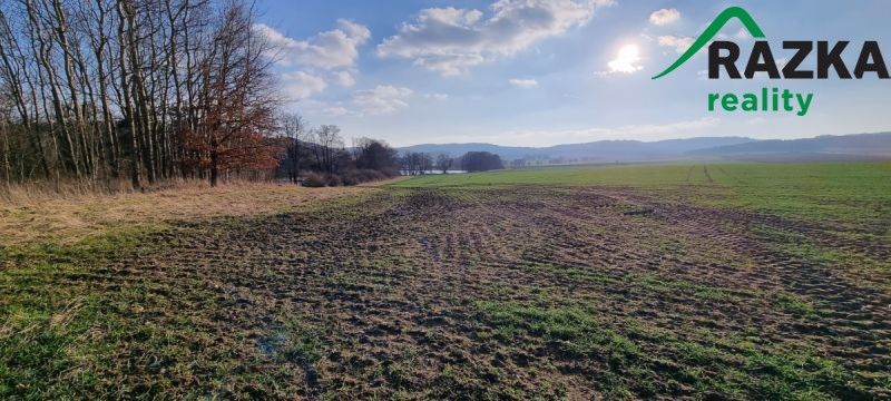 Prodej pozemek pro bydlení - Ctiboř, 347 01