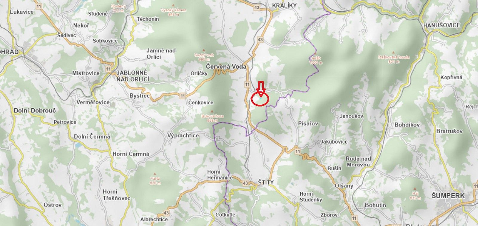 Les · Červená Voda, okres Ústí nad Orlicí, Pardubický kraj - 3