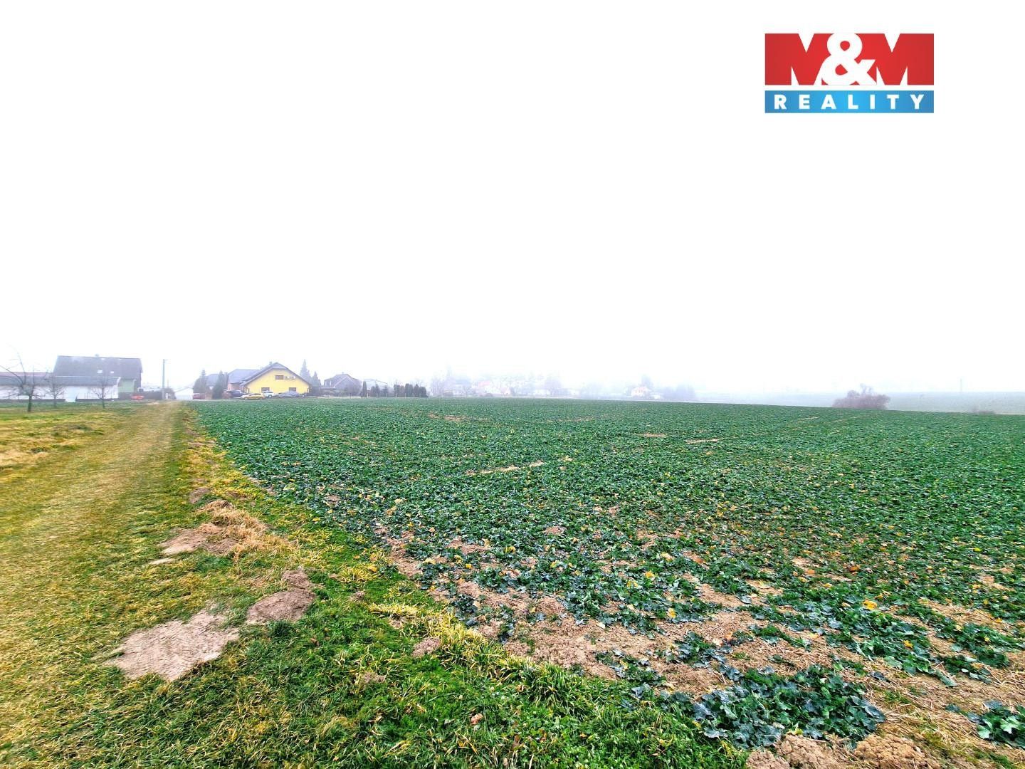 Prodej pozemek pro bydlení - Štěpánkovice