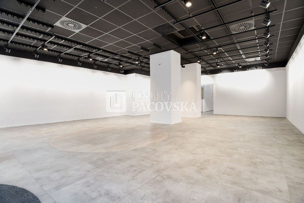 Pronájem obchodní prostory - Ústí nad Labem - Ústí nad Labem-centrum, Ústecký kraj, 210 m² - 5