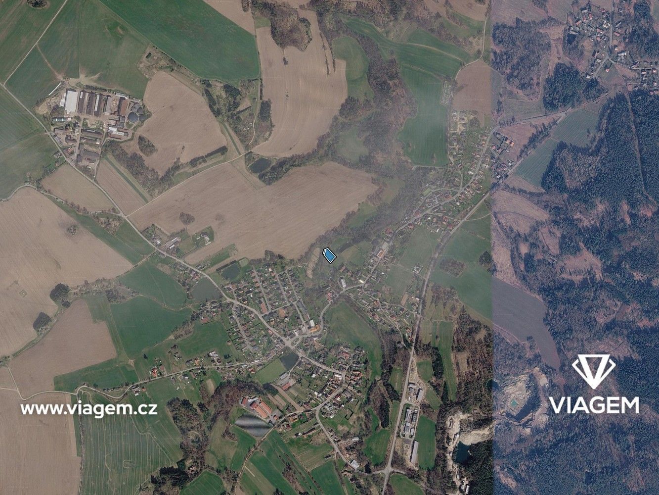 Les · Dolní Město, okres Havlíčkův Brod, Kraj Vysočina - 3