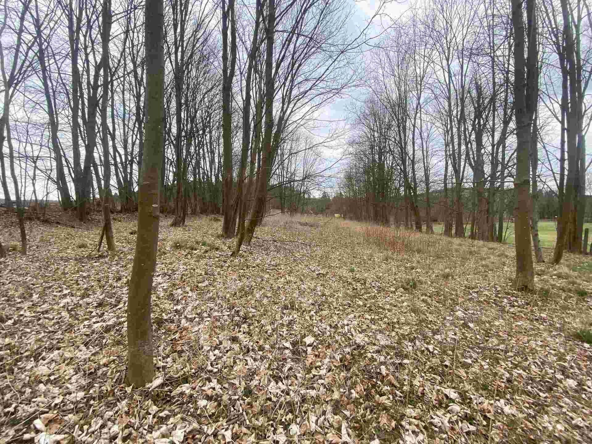 Prodej pozemek - Žinkovy, 4 m²