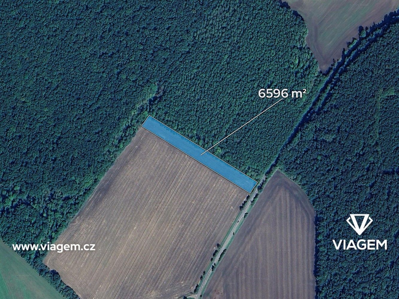 Zemědělské pozemky, Smidary, okres Hradec Králové - 2