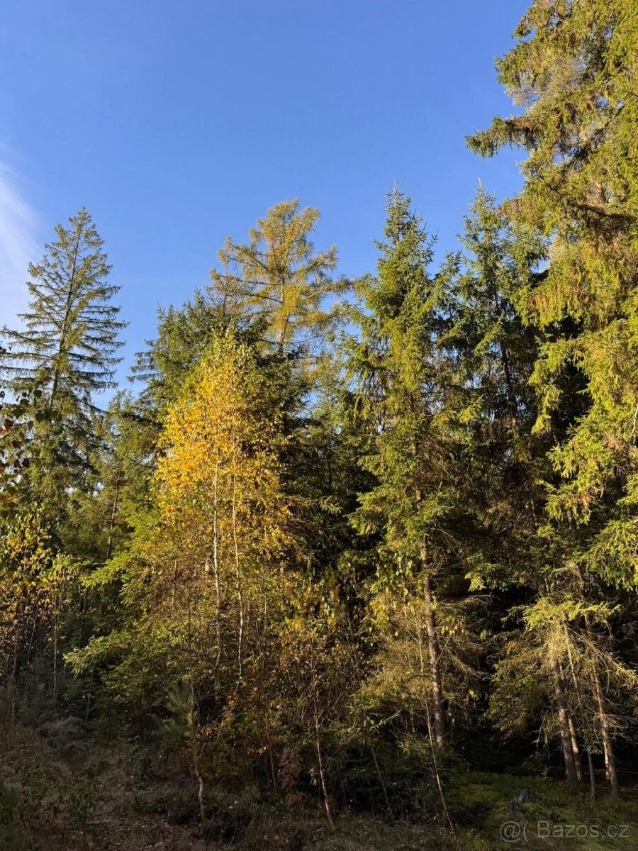 Prodej pozemek pro bydlení - Rtyně v Podkrkonoší, 542 33