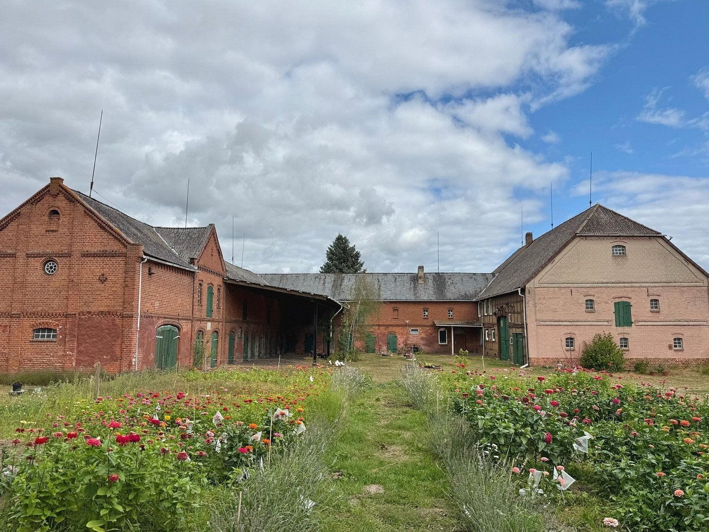 Rodinné domy, , Dolní Sasko, 219 m² - 2