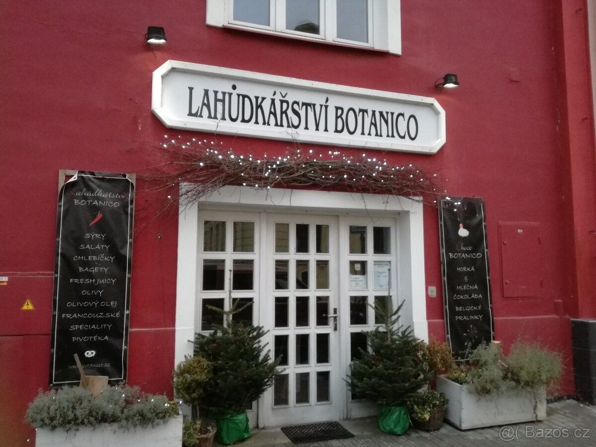 Obchodní prostory · Prostějov, 796 01 - 4