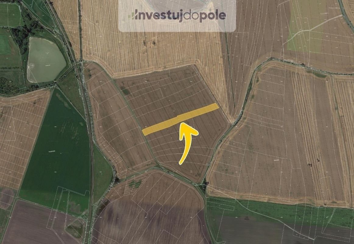 Prodej zemědělský pozemek - Kosořice