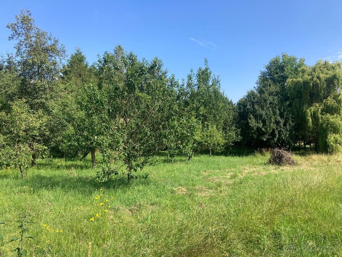 Prodej pozemek pro bydlení - Jevíčko, 569 43 - 5