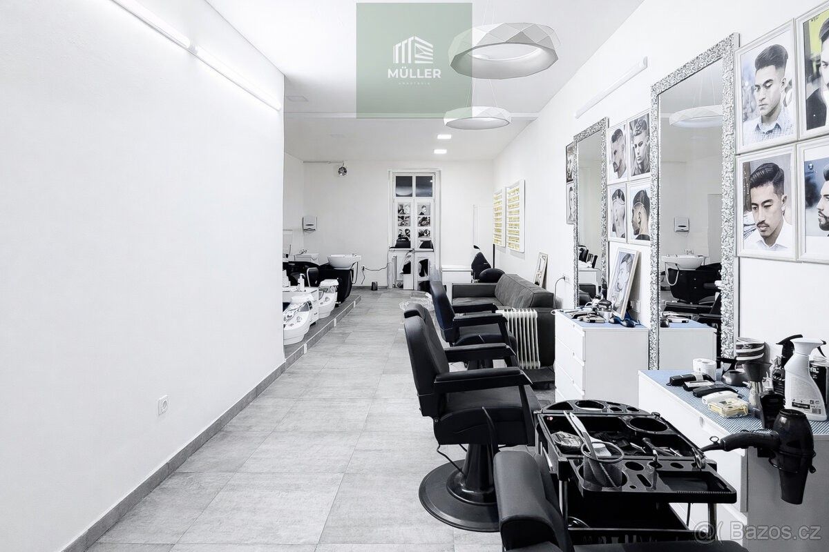 Pronájem ostatní - Plzeň, 301 00