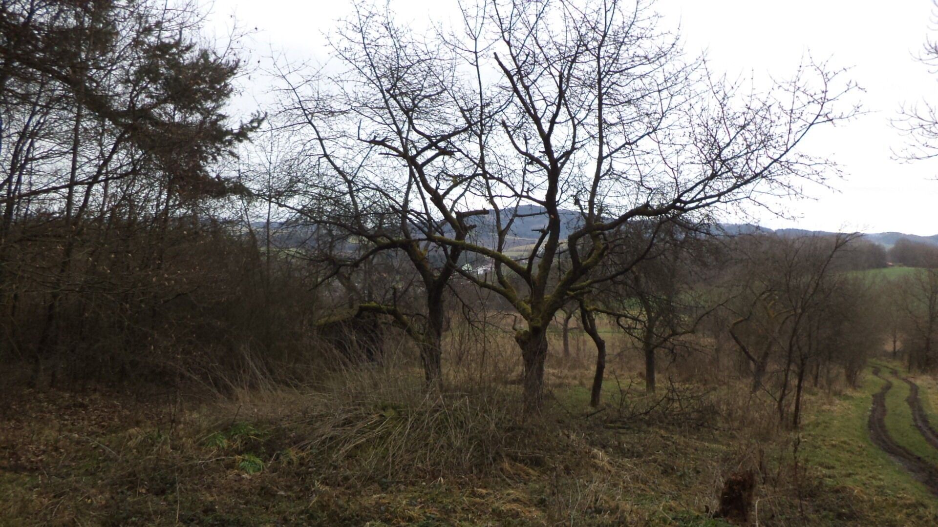 Prodej pozemek - Srby, 1 m²