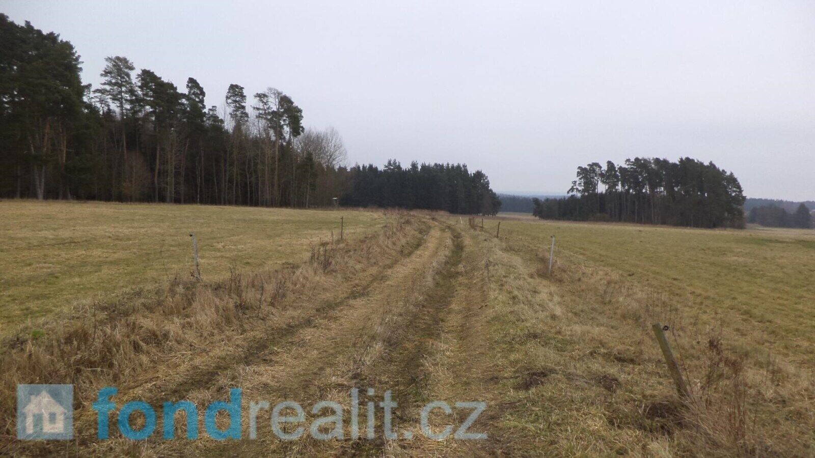 Zemědělský pozemek · 3 739 m² · Lom u Tachova - 3