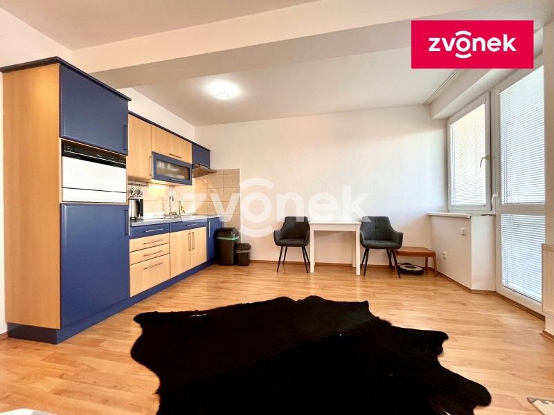 1+kk, Voženílkova, Zlín, 30 m²