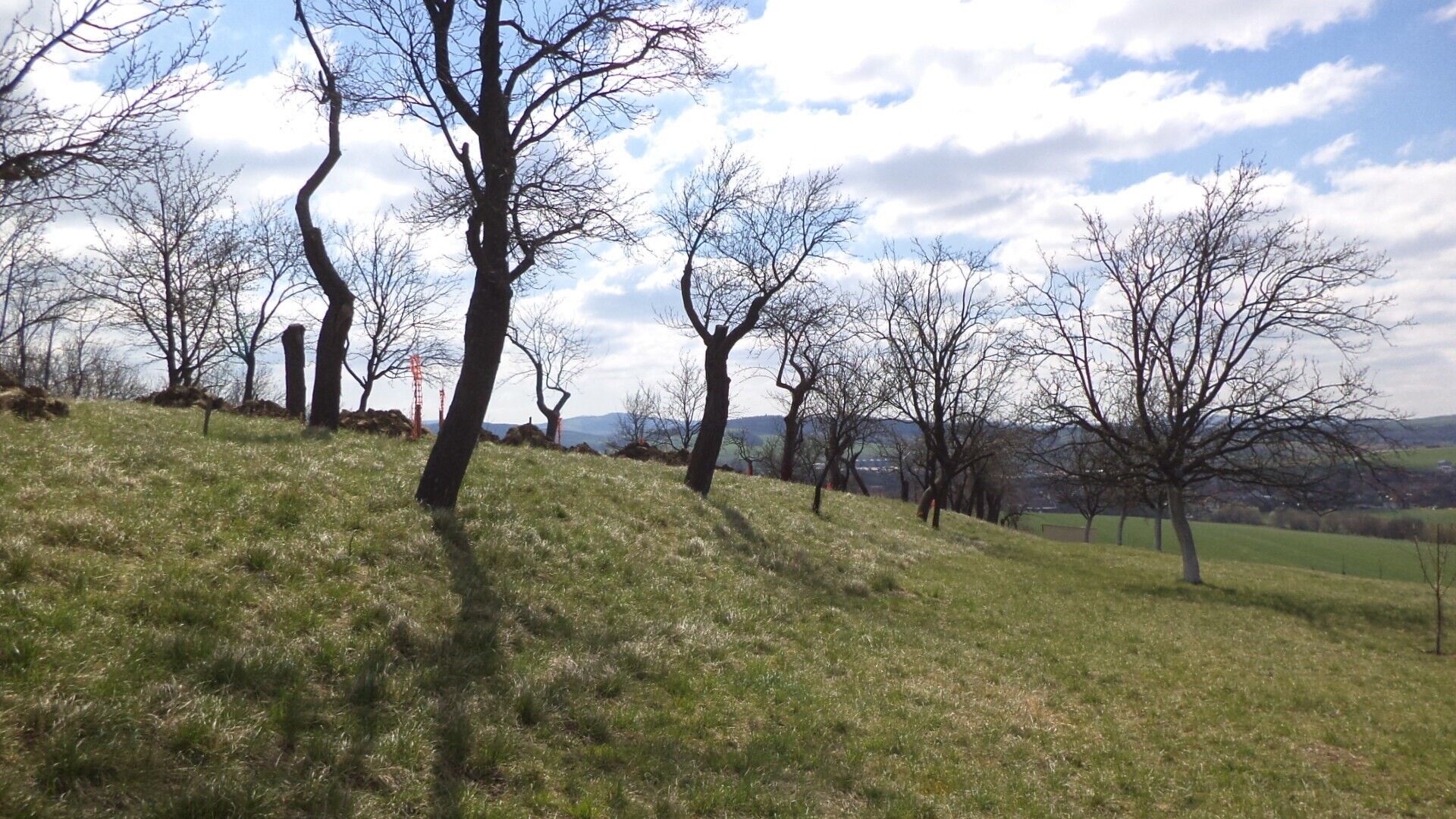 Ostatní, Hluk, 984 m²