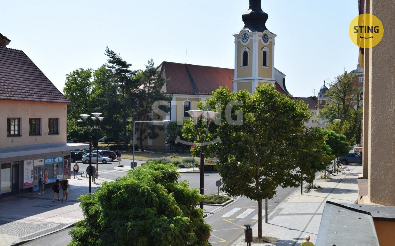 Obchodní prostory, Národní třída, Hodonín, 401 m² - 2