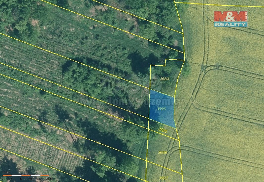 Lesy, Stehlovice, okres Písek, Jihočeský kraj - 2