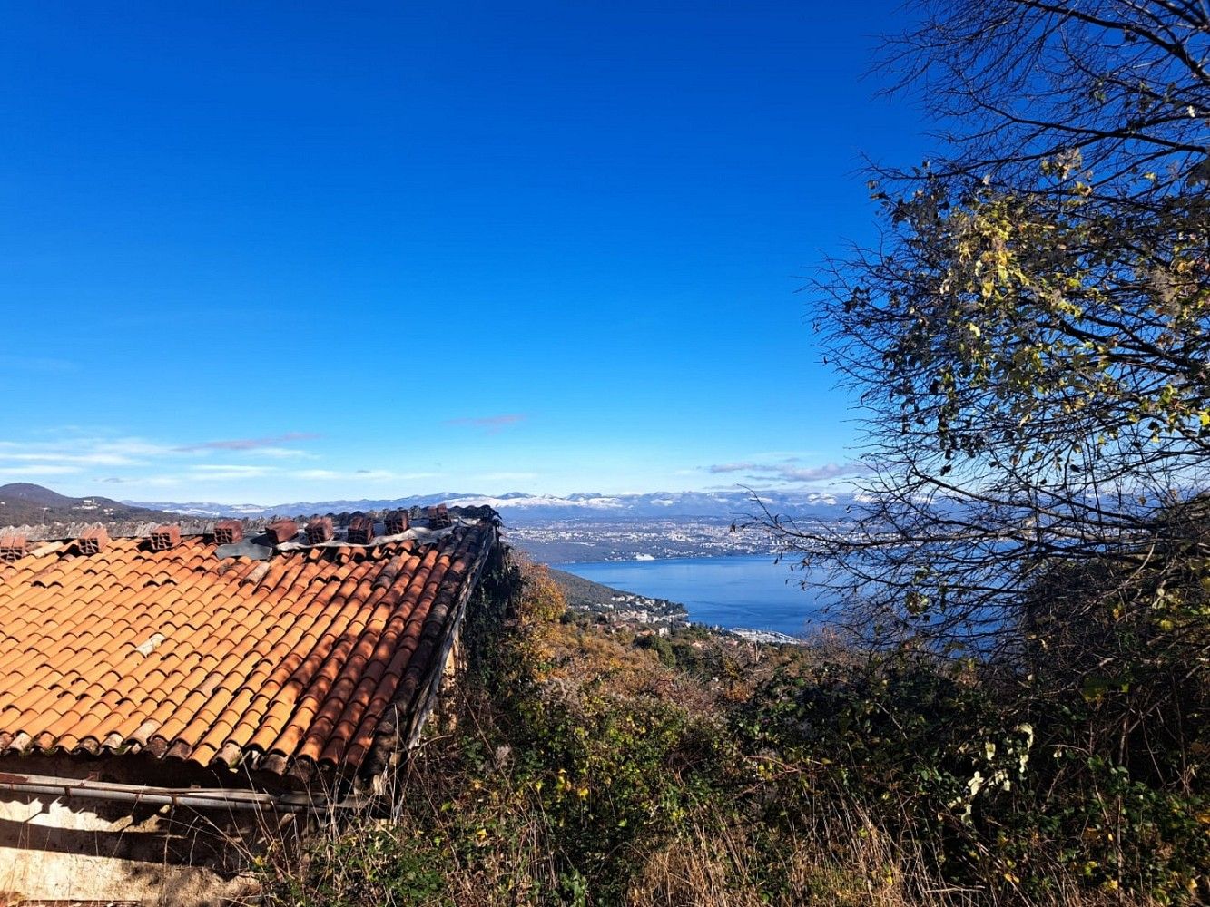 Pozemek pro bydlení, 4 747 m²