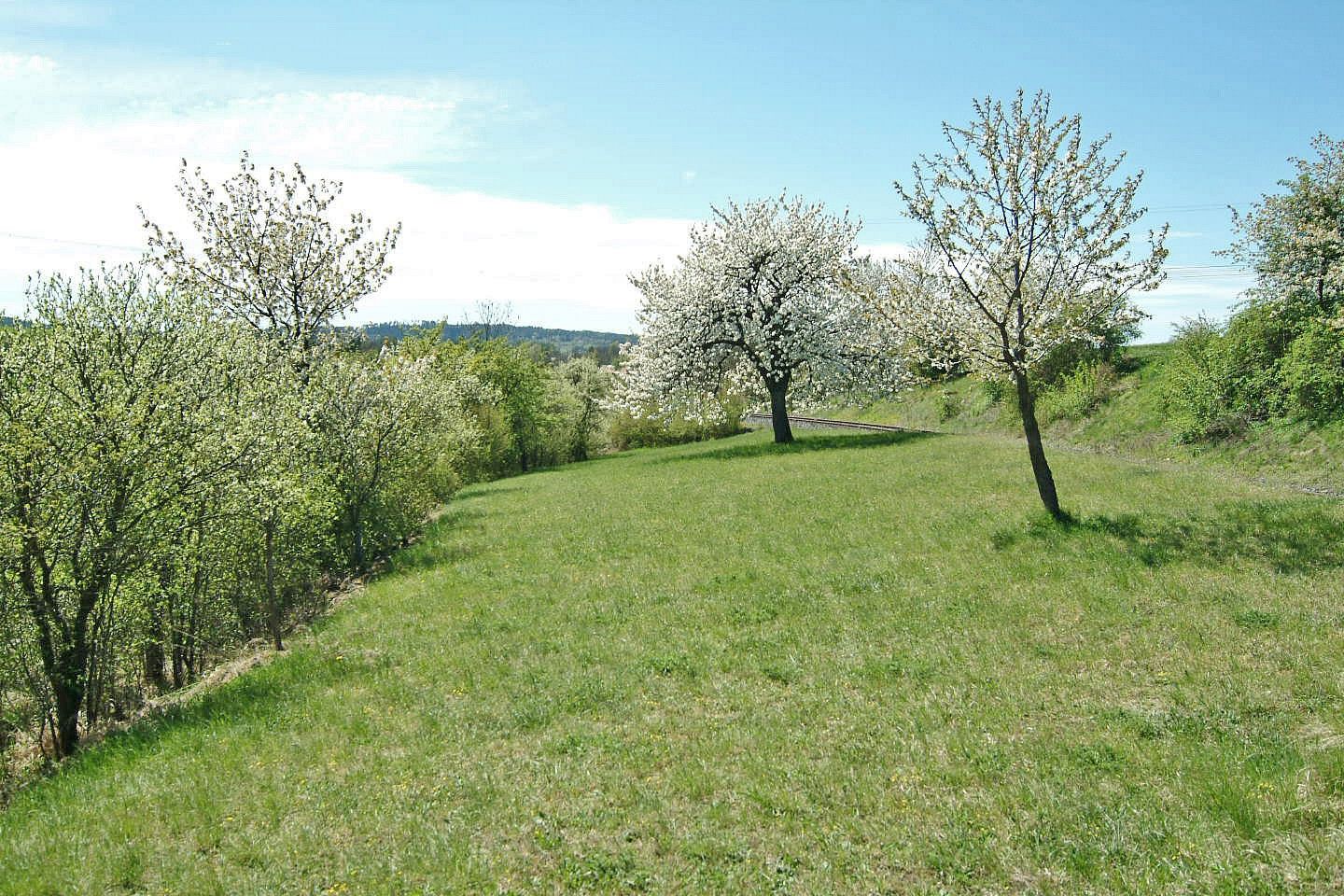 Prodej louka - Kněžnice, okres Jičín, Královéhradecký kraj - 5
