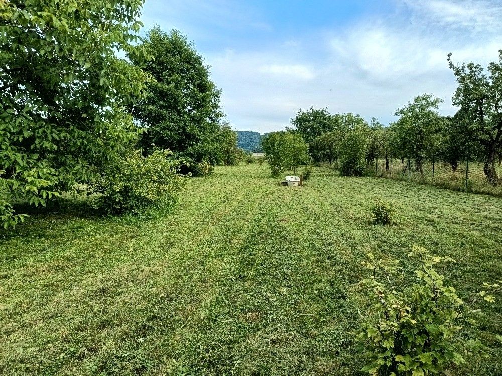 Prodej zahrada - Hranice, 753 61