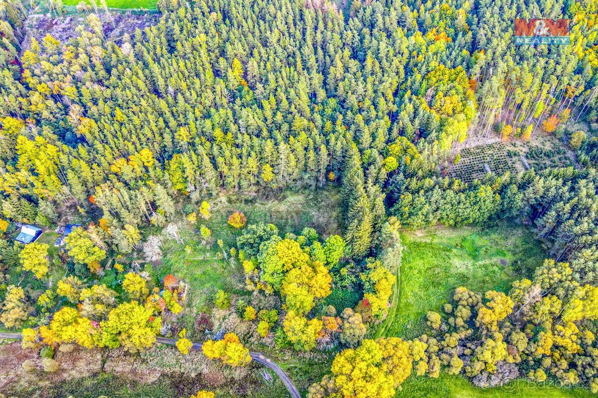 Prodej les - Planá u Mariánských Lázní, 348 15, 4 686 m²