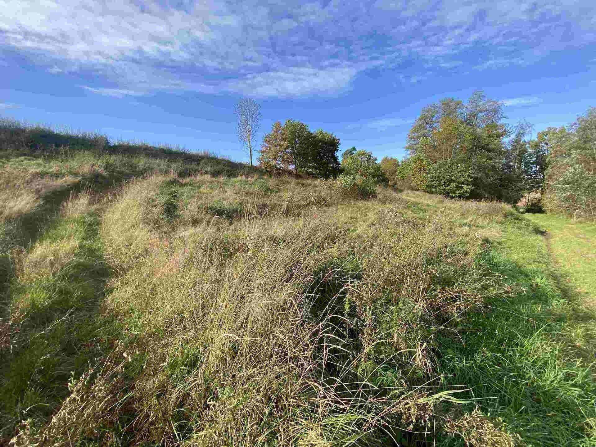 Prodej zemědělský pozemek - Svijany, 1 m²