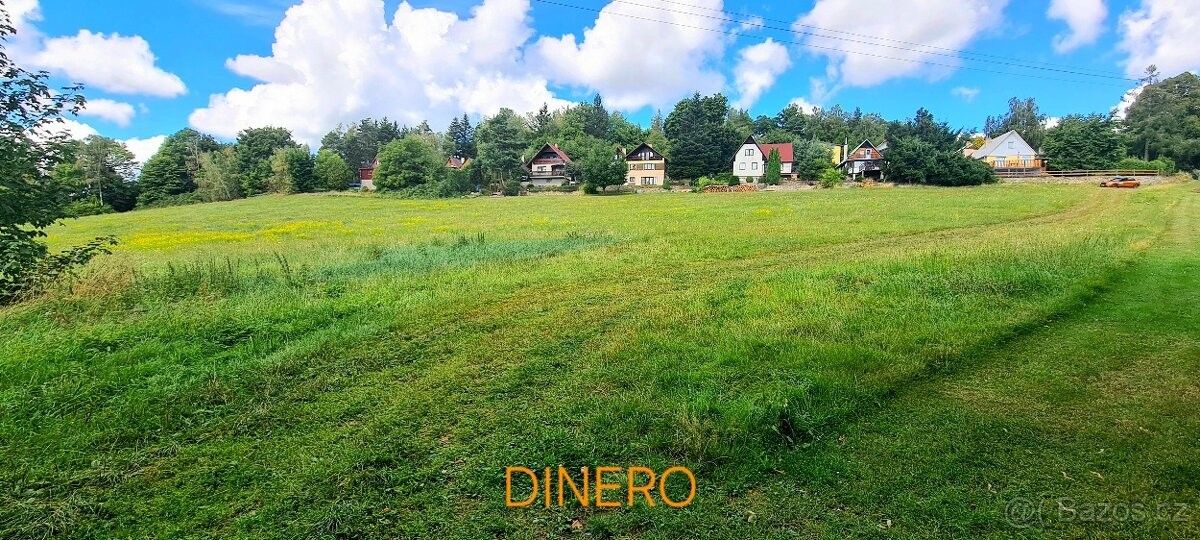 Pozemky pro bydlení, Lipnice nad Sázavou, 582 32