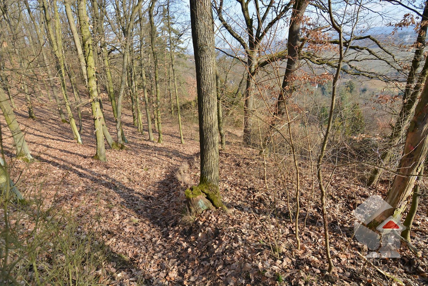 Prodej zahrada - Turistická, Brno - Medlánky - 5