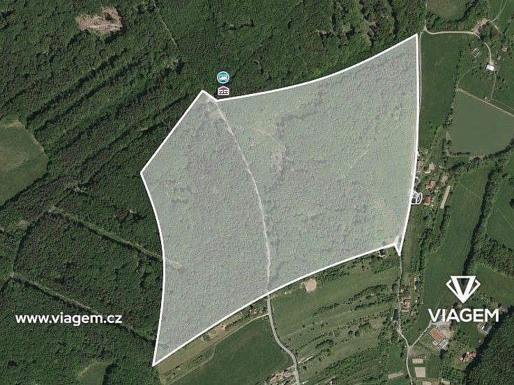 Prodej les - Šanov, okres Zlín, Zlínský kraj - 2