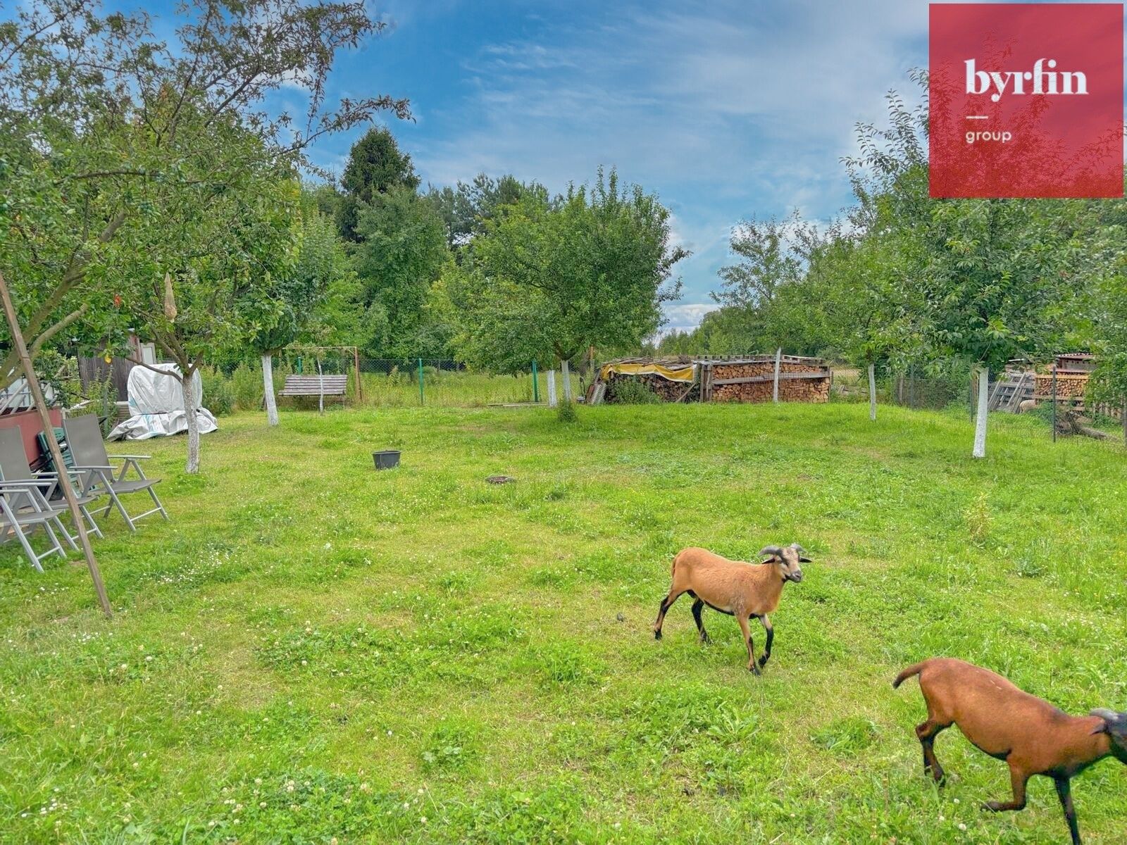 Pozemek pro bydlení · 1 655 m² · Oldřišov - 3