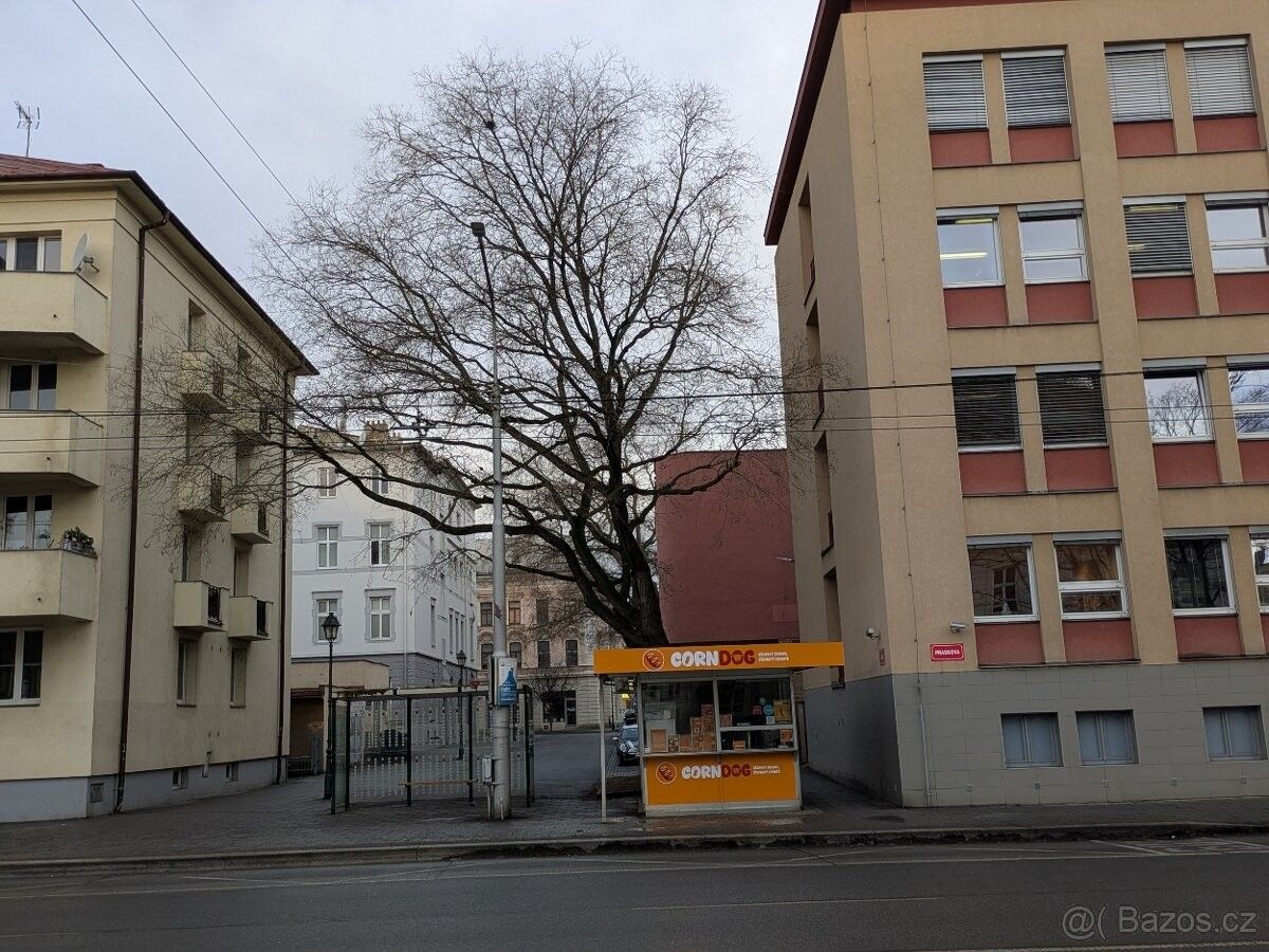 Pronájem obchodní prostory - Opava, 746 01