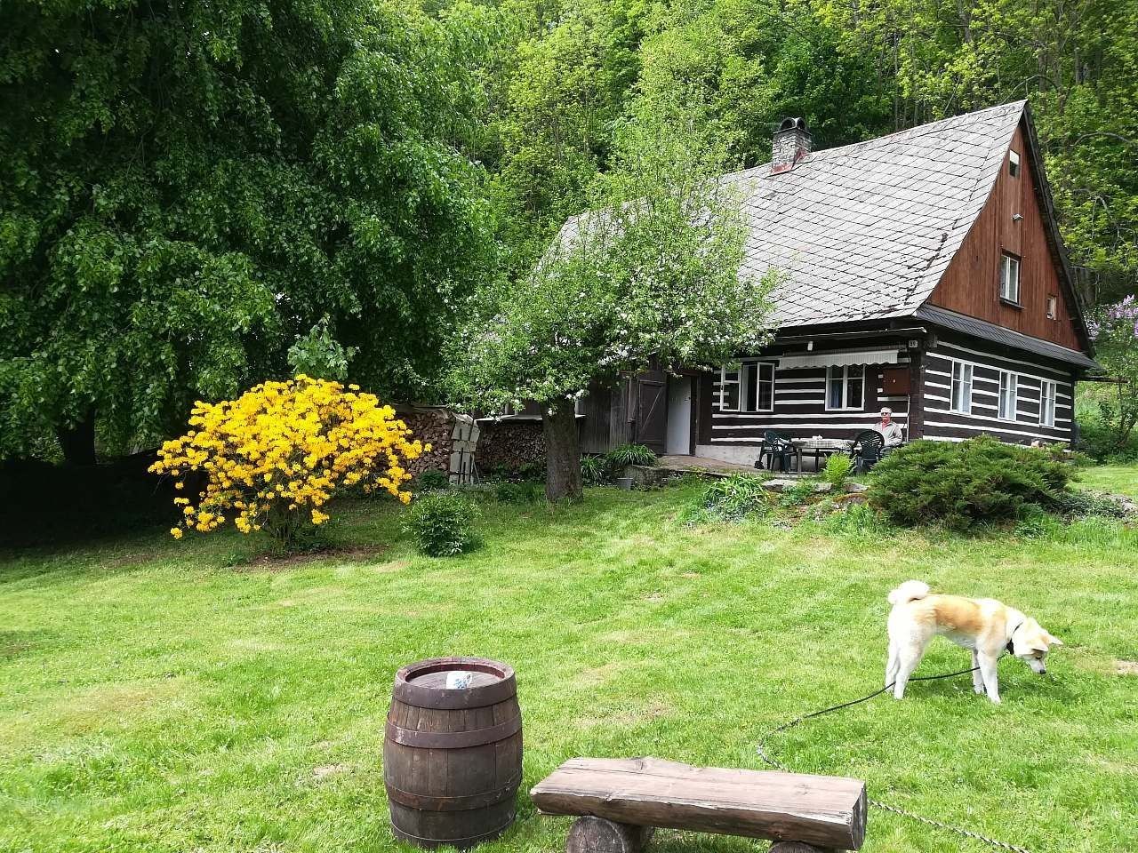 Chaty, Těchonín - Těchonín, Pardubický kraj - 2