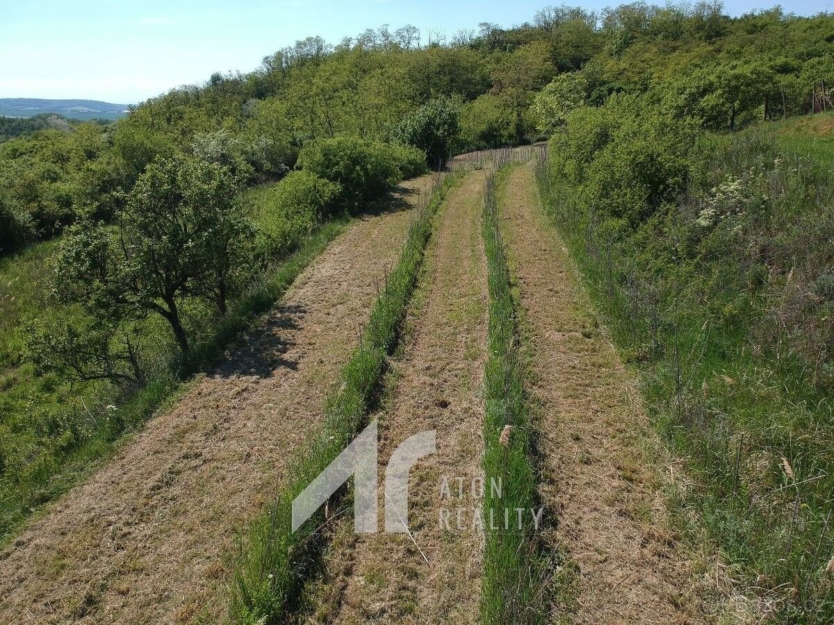 Pozemek pro bydlení · Křepice u Hustopečí, 691 65 - 4