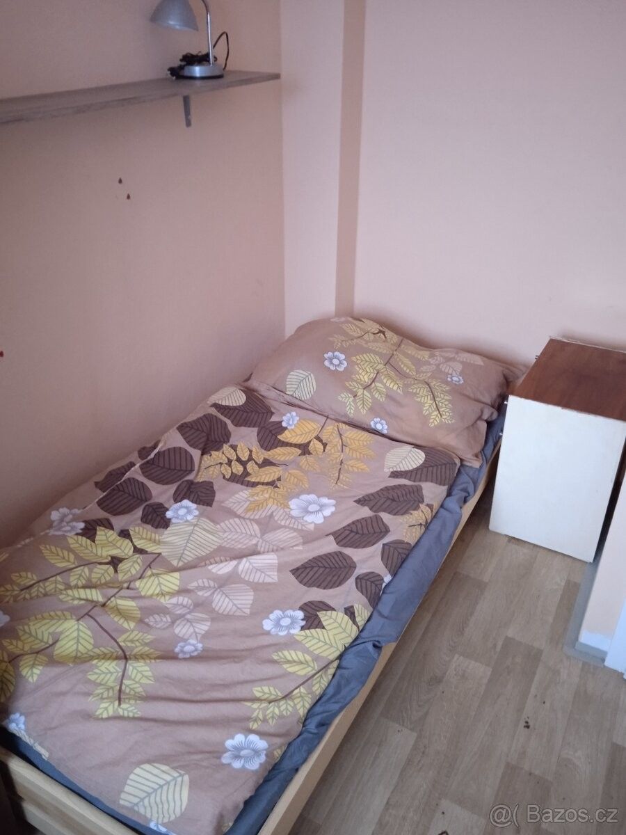 Pronájem rodinný dům - Staňkov, 345 61